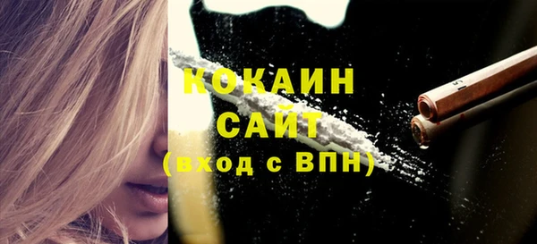 ECSTASY Гусев