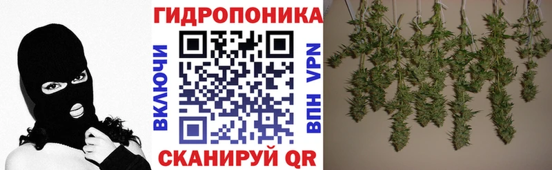 Бошки Шишки THC 21%  хочу   Заволжск 